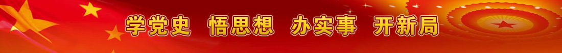 学党史  悟思想  办实事  开新局